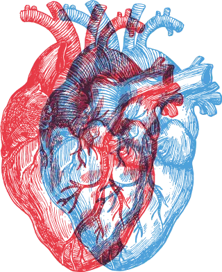 cardio-balance-test-cardio-balance-wirkung-cardio-balance-bewertung-cardio-balance-günstig-cardio-balance-rabatt-cardio